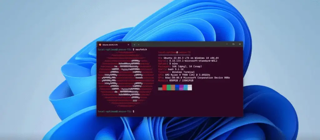 wsl ubuntu 24.04